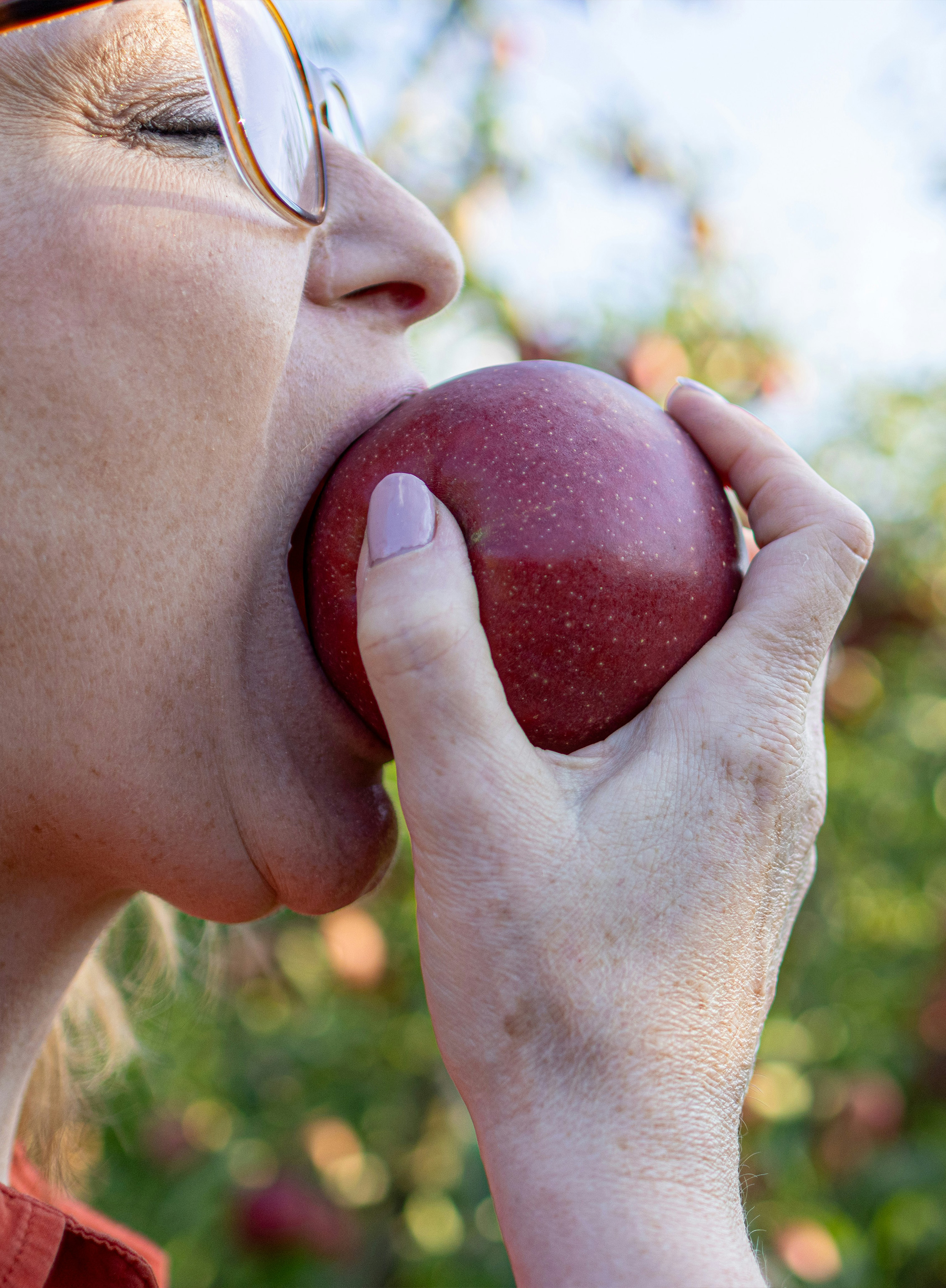 medico dentista torino
