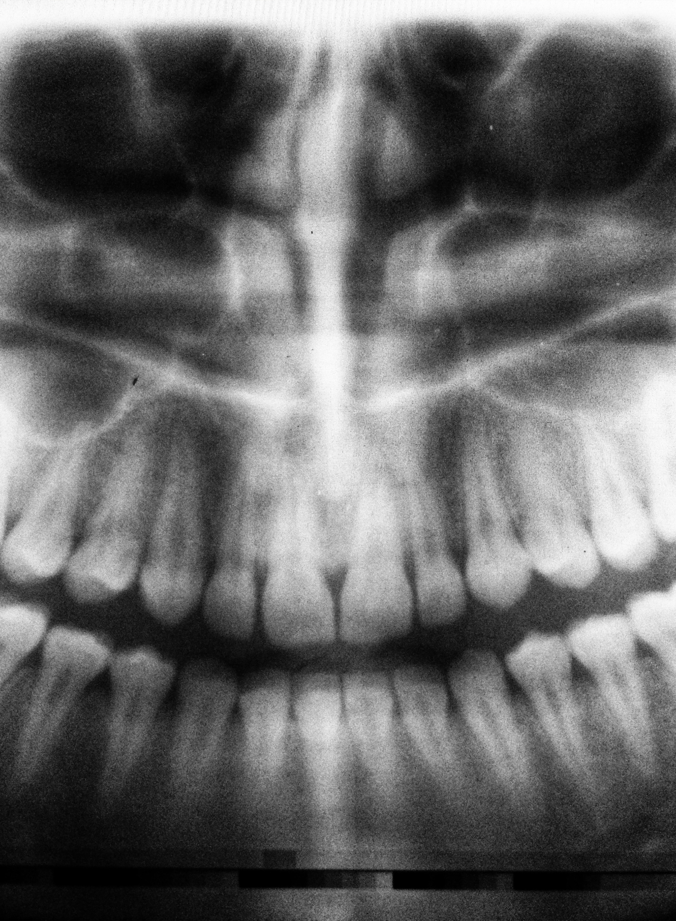 odontoiatria conservativa torino